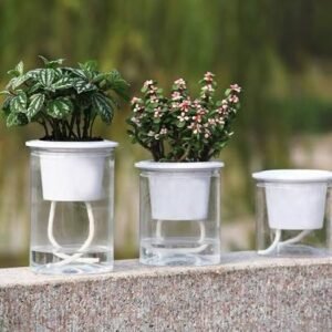 Transparent Self-Watering Resin Planter